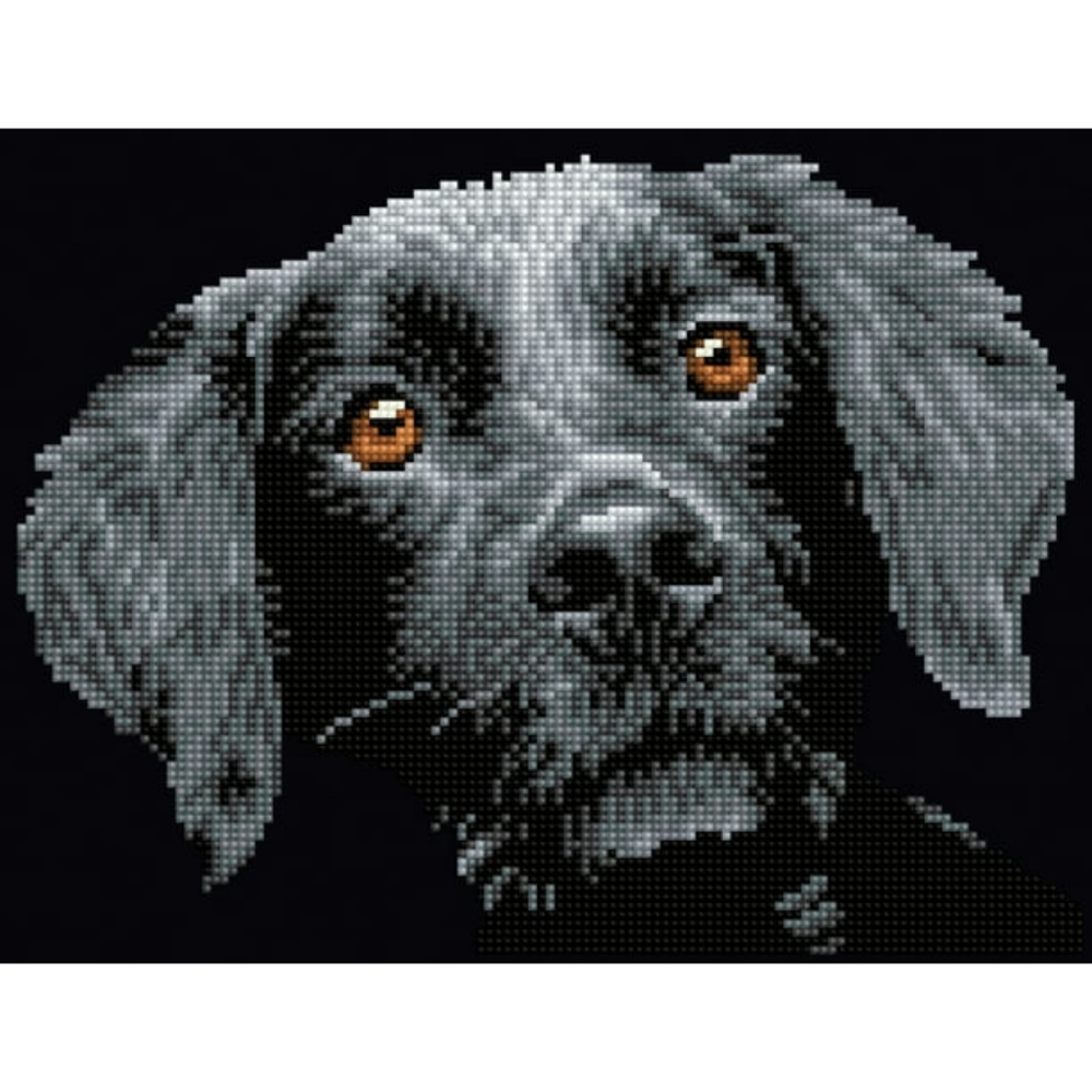 Diamond Dotz Diamond DotzSE Dog Blackie Round Facet Partial Coverage Craft Kit